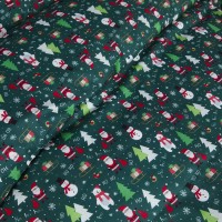 Parure de lit Verte Santa